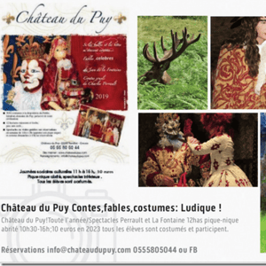 Chateau du Puy
