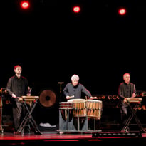 Le Bamboo Orchestra