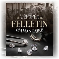 Épopée diamantaire : visite libre à tarif préférentiel