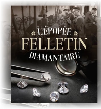 Épopée diamantaire : visite libre à tarif préférentiel