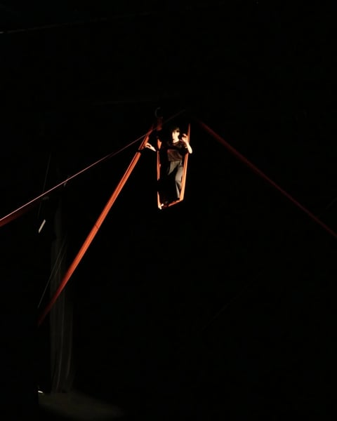 Lignes